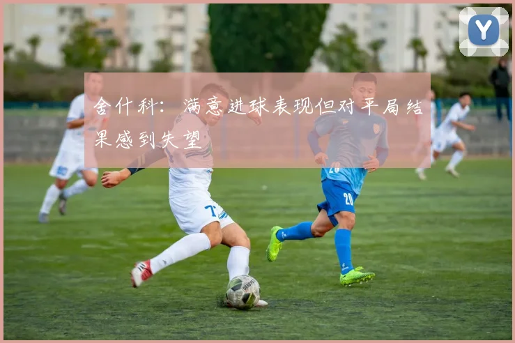 舍什科：满意进球表现但对平局结果感到失望