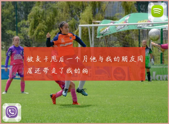 被麦卡甩后一个月他与我的朋友同居还带走了我的狗